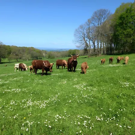 Les Vallons Du Lot Gorses