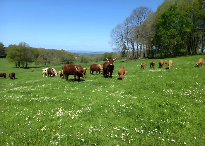 Les Vallons Du Lot Gorses